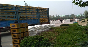 章丘金屬顏料駐地村委禮品大派送02.jpg 章丘金屬顏料駐地村委禮品大派送02.jpg